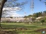 長津川緑地 1050m