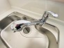 水栓一体型浄水器は、浄水カートリッジが水栓に内蔵されているのが特徴で、また浄水器ごとホースを引き出せます。